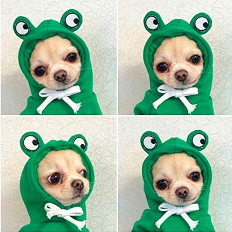 FroggieFashion™: Sudadera con capucha para perros pequeños/medianos.