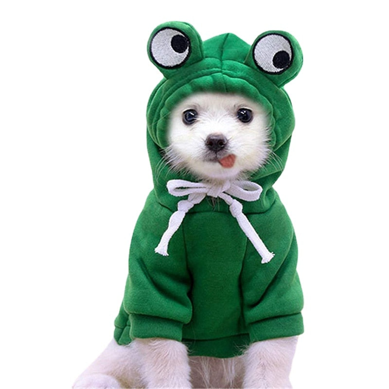 FroggieFashion™: Sudadera con capucha para perros pequeños/medianos.