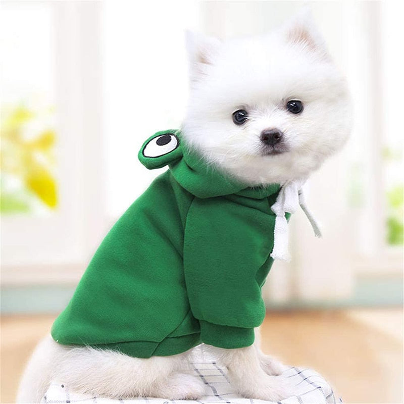 FroggieFashion™: Sudadera con capucha para perros pequeños/medianos.